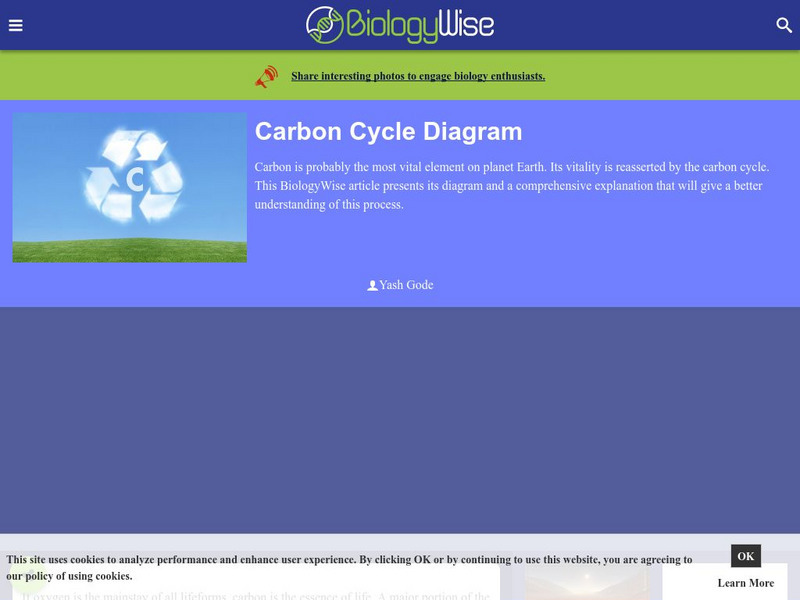 Biology Wise: Carbon Cycle Diagram Handout Biology Wise: Carbon Cycle Diagram Handout