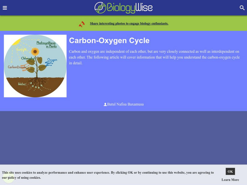 Biology Wise: Carbon Oxygen Cycle Handout Biology Wise: Carbon Oxygen Cycle Handout