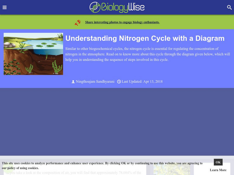 Biology Wise: Understanding Nitrogen Cycle With a Diagram Handout Biology Wise: Understanding Nitrogen Cycle With a Diagram Handout