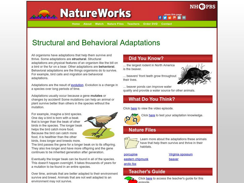 Nh Pbs: Nature Works: Structural and Behavioral Adaptations Website Nh Pbs: Nature Works: Structural and Behavioral Adaptations Website