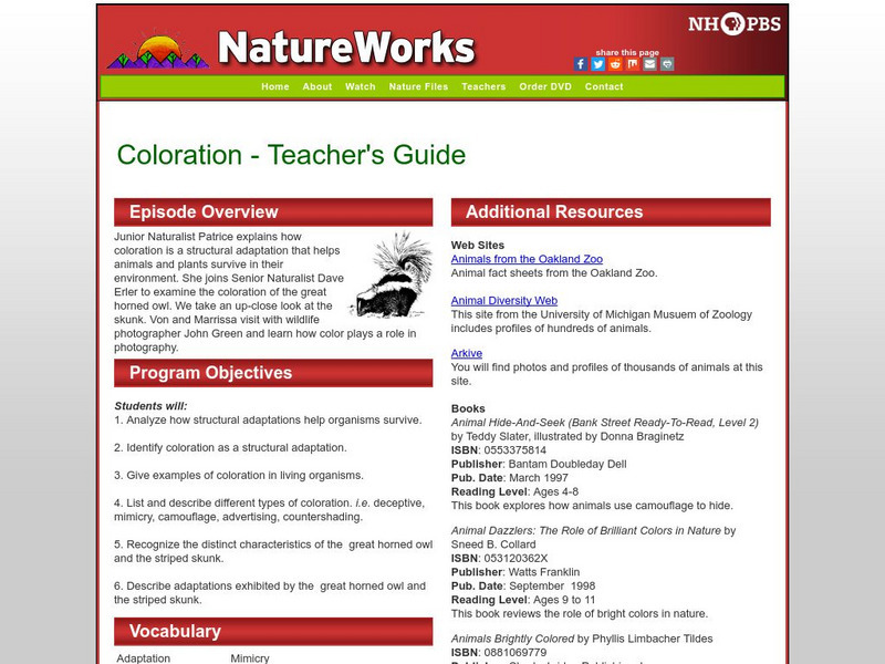 Nh Pbs: Nature Works: Coloration Website