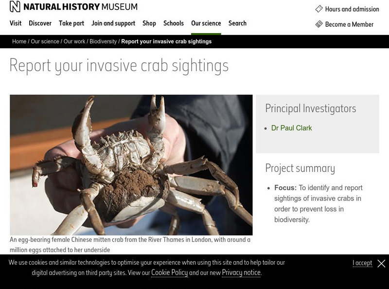 The Natural History Museum: Chinese Mitten Crab Website