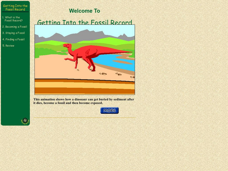 Ucmp: Explorations Through Time: Getting Into the Fossil Record Interactive Ucmp: Explorations Through Time: Getting Into the Fossil Record Interactive