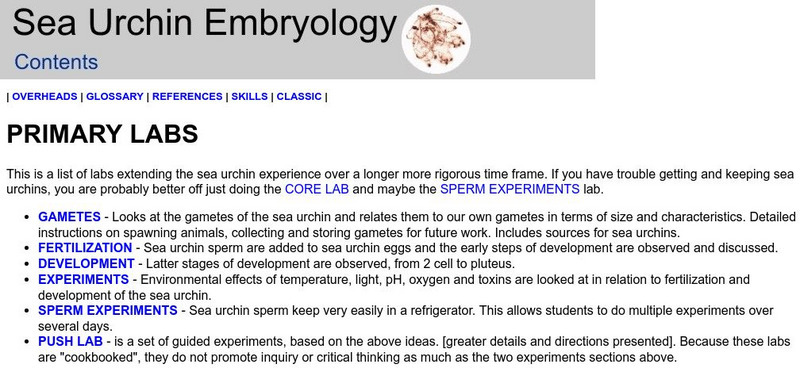 Stanford University: Primary Labs Activity Stanford University: Primary Labs Activity