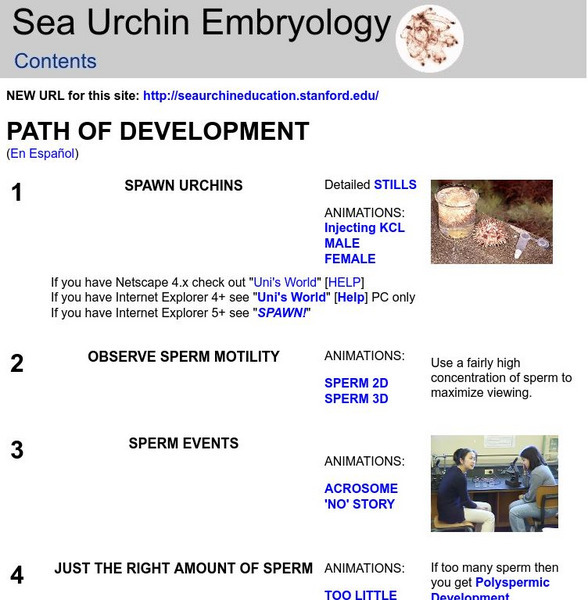 Stanford University: Path of Development (Animal Developmental Pathways) Activity Stanford University: Path of Development (Animal Developmental Pathways) Activity