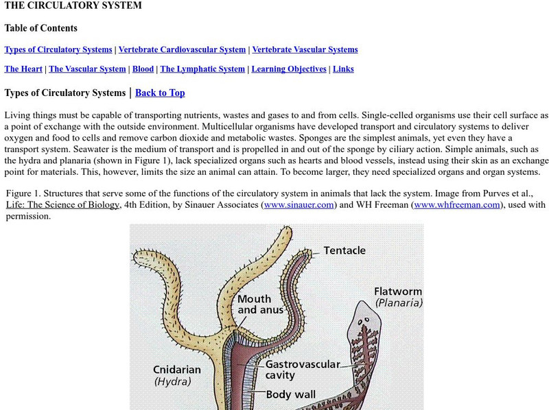 M.j. Farabee: Circulatory Systems Website M.j. Farabee: Circulatory Systems Website