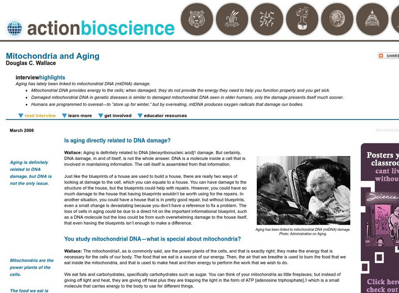 Action Bioscience: Mitochondria and Aging Article Action Bioscience: Mitochondria and Aging Article