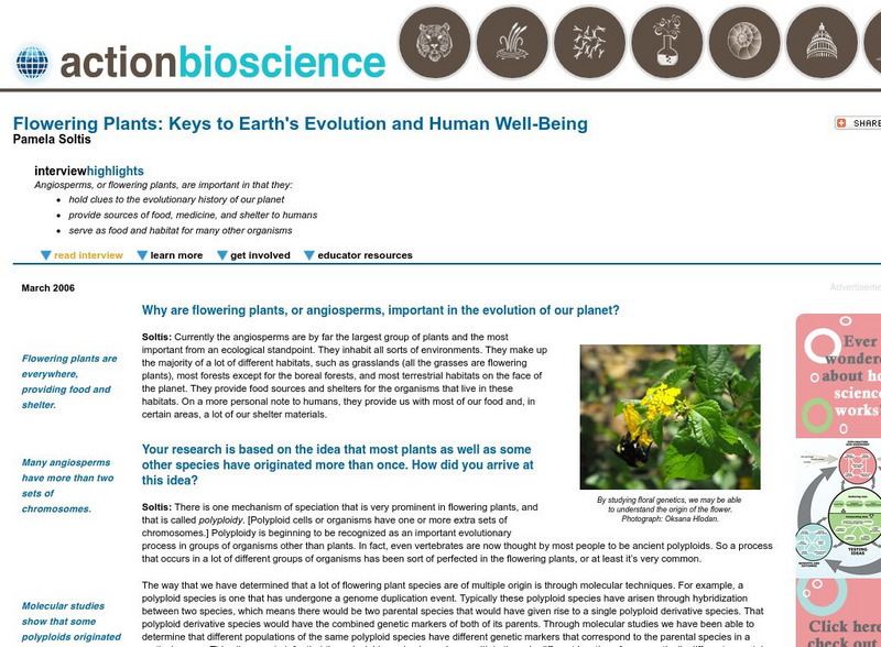 Action Bioscience: Flowering Plants: Keys to Evolution & Human Well Being Article Action Bioscience: Flowering Plants: Keys to Evolution & Human Well Being Article
