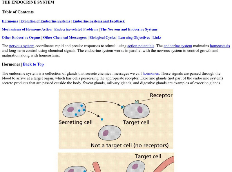 Estrella Mountain Community College: The Endocrine System eBook Estrella Mountain Community College: The Endocrine System eBook
