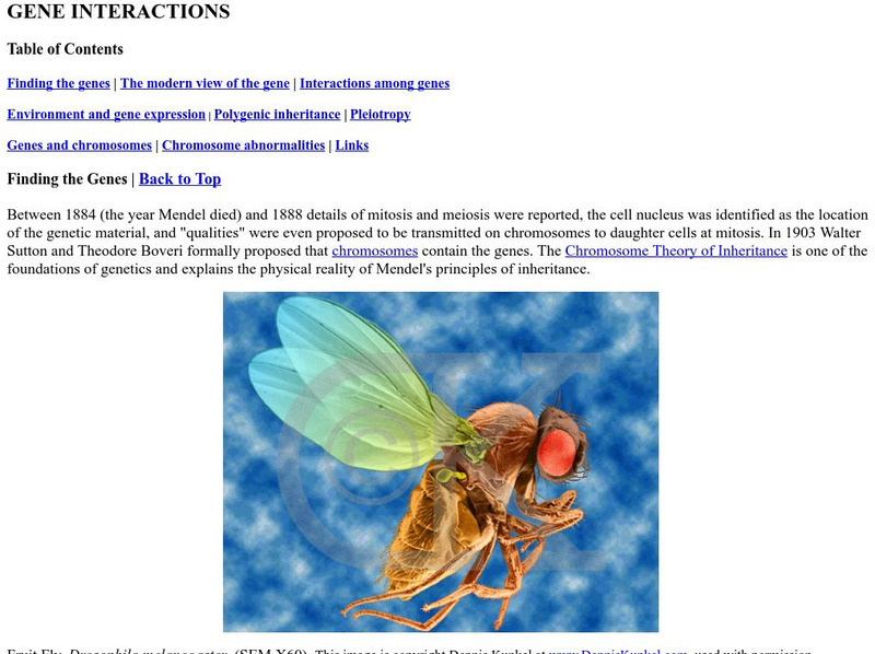 Estrella Mountain Community College: Codominance Handout