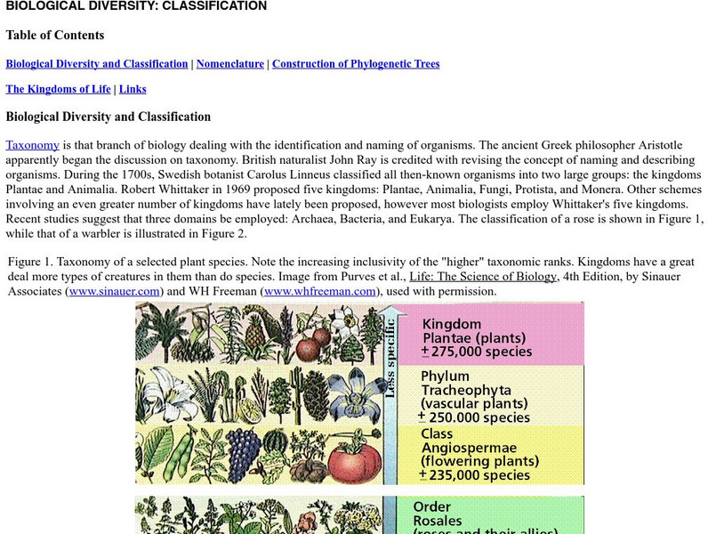 Estrella Mountain College: Classification eBook Estrella Mountain College: Classification eBook
