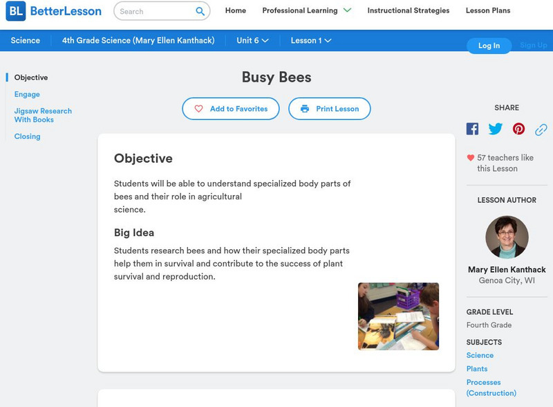 Better Lesson: Busy Bees Lesson Plan Better Lesson: Busy Bees Lesson Plan