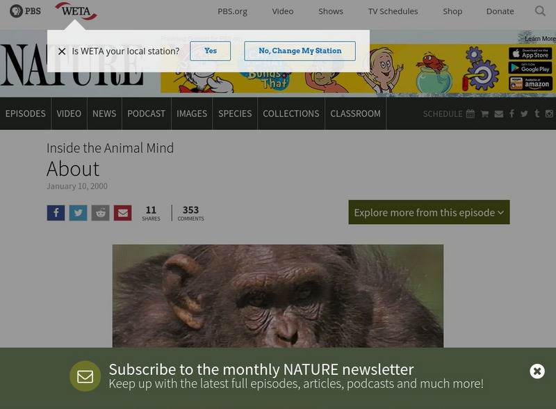 Pbs: Nature: Inside the Animal Mind Website Pbs: Nature: Inside the Animal Mind Website