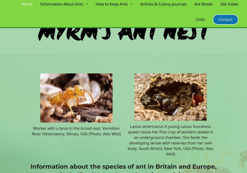 Myrmecology, the Study of Ants Website