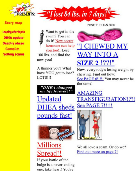 The Why Files: I Lost 84 Lbs! Website