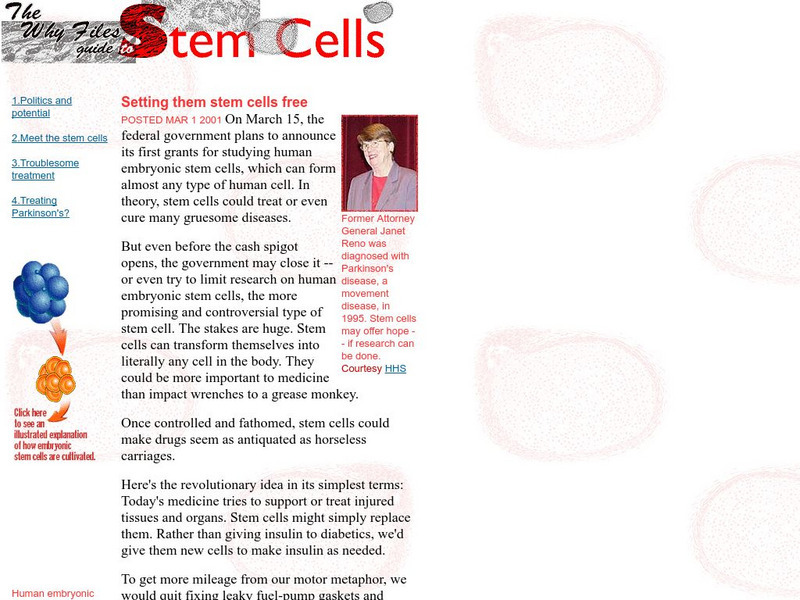 The Why Files: Stem Cells Handout The Why Files: Stem Cells Handout