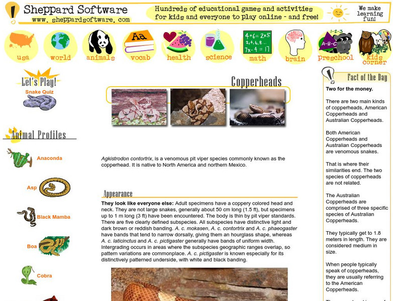 Sheppard Software: Copperheads Handout Sheppard Software: Copperheads Handout
