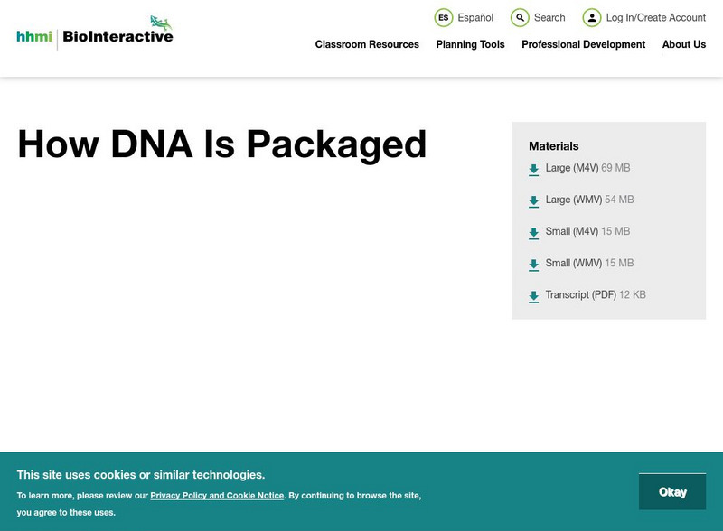 Hhmi: Biointeractive: Dna: Dna Packaging Instructional Video