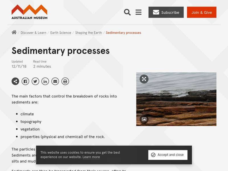 Australian Museum: Sedimentary Processes Handout Australian Museum: Sedimentary Processes Handout