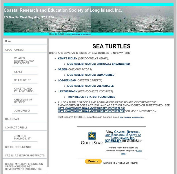 Cresli Sea Turtles Program Activity Cresli Sea Turtles Program Activity