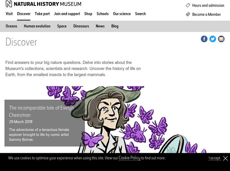 Natural History Museum: Meteorites Handout Natural History Museum: Meteorites Handout