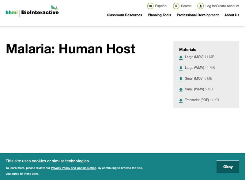 Hhmi: Biointeractive: Life Cycle of Malaria, Part 1 Instructional Video Hhmi: Biointeractive: Life Cycle of Malaria, Part 1 Instructional Video
