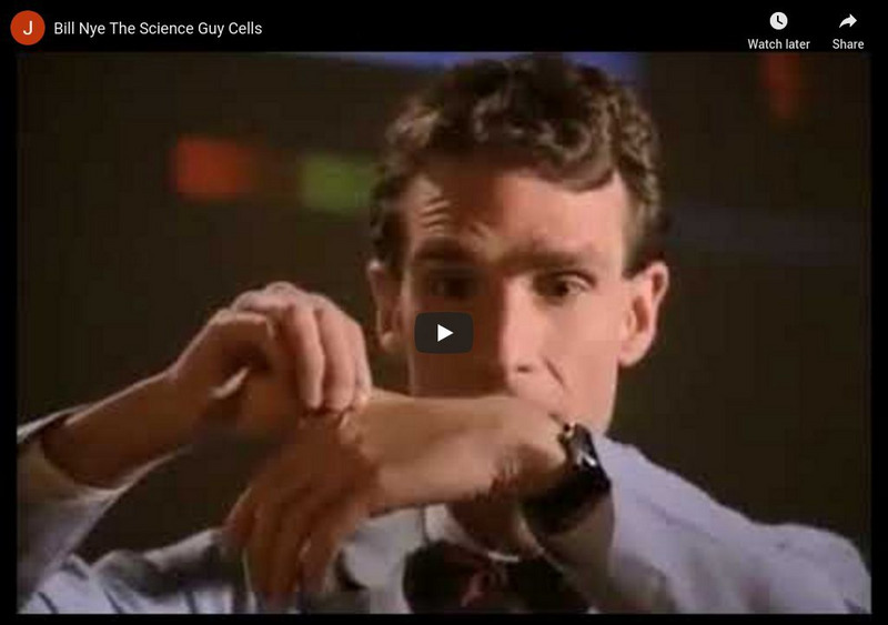 Bill Nye the Science Guy: Cells Instructional Video