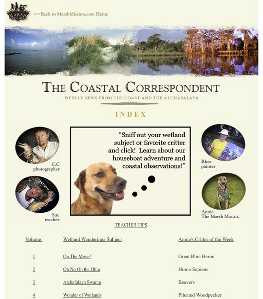 Marsh Mission Coastal Correspondent Website Marsh Mission Coastal Correspondent Website