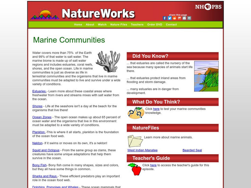Nh Pbs: Nature Works: Marine Communities Handout Nh Pbs: Nature Works: Marine Communities Handout