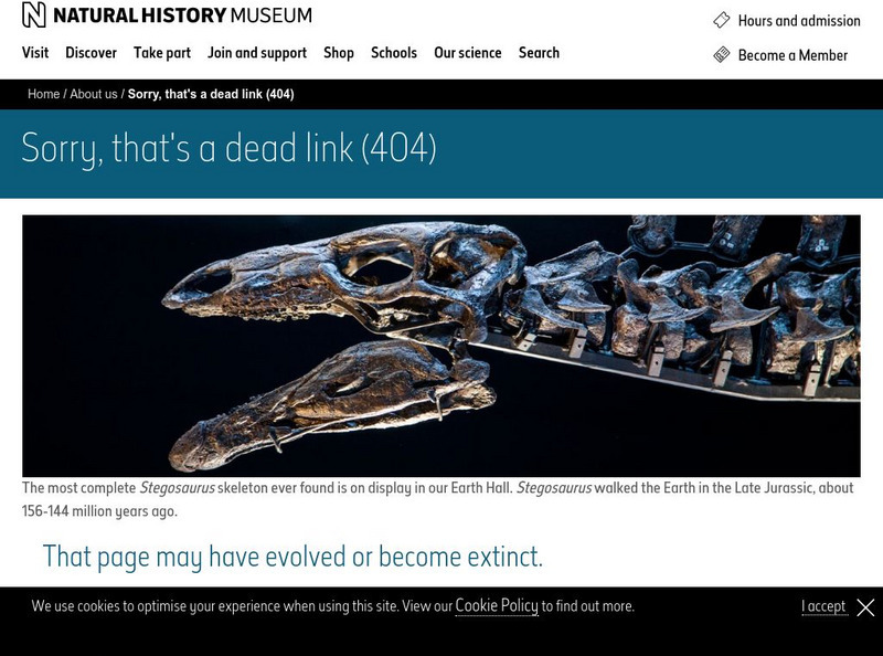 Natural History Museum: Volcanoes Activity Natural History Museum: Volcanoes Activity