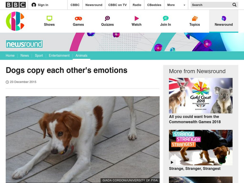 Bbc Newsround: Dogs Copy Each Other's Emotions Article Bbc Newsround: Dogs Copy Each Other's Emotions Article