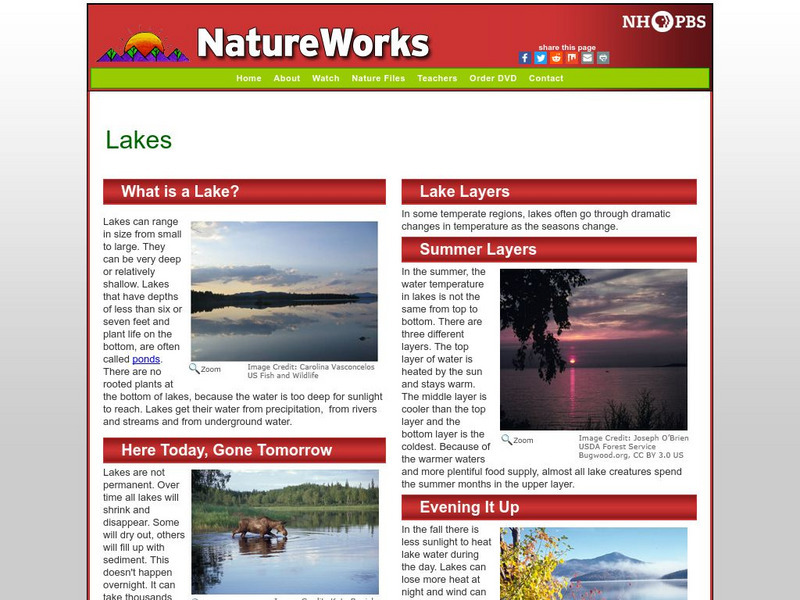 Nh Pbs: Nature Works: Lakes Handout Nh Pbs: Nature Works: Lakes Handout