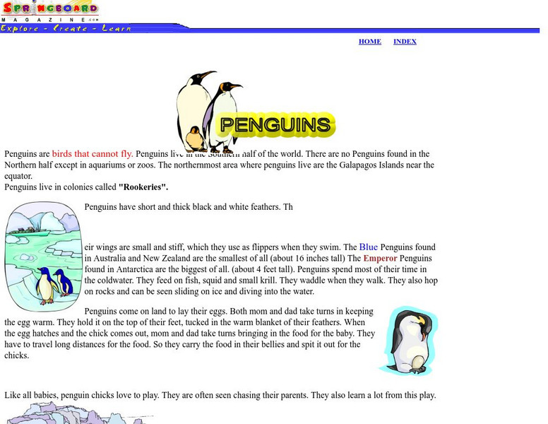 Springboard: Penguins Interactive Springboard: Penguins Interactive