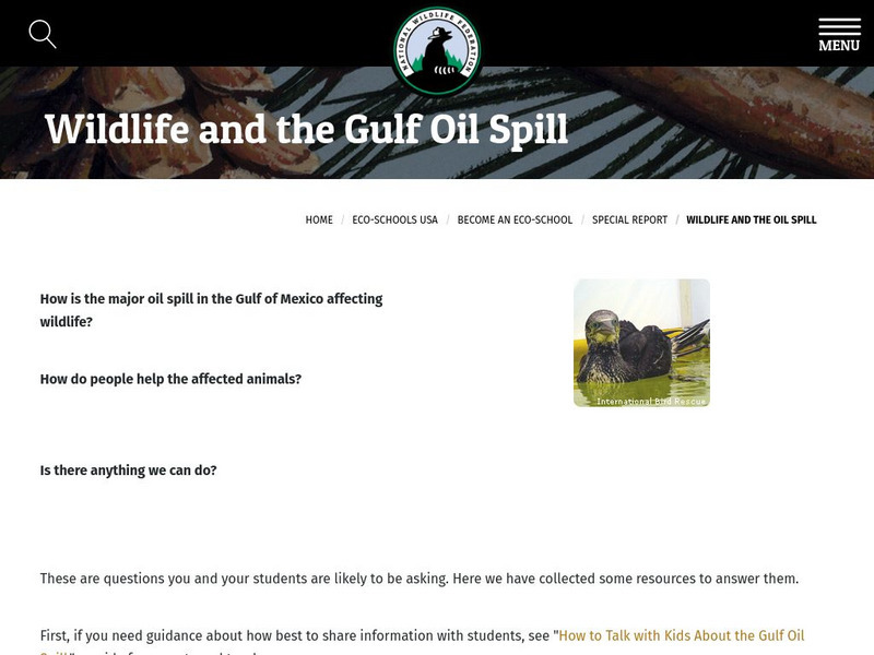National Wildlife Federation: The Big Oil Spill Website National Wildlife Federation: The Big Oil Spill Website