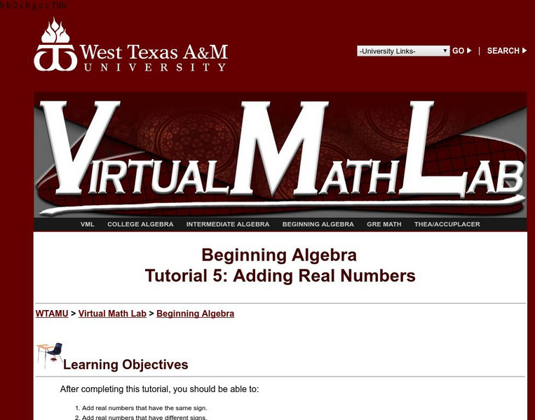 Wtamu Virtual Math Lab: Beginning Algebra: Adding Real Numbers Activity