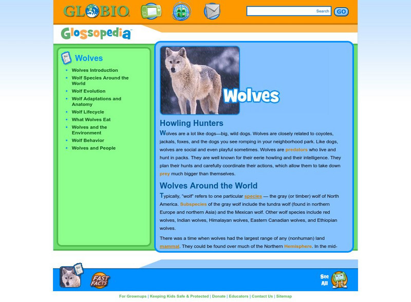 Glossopedia: Wolves Handout Glossopedia: Wolves Handout