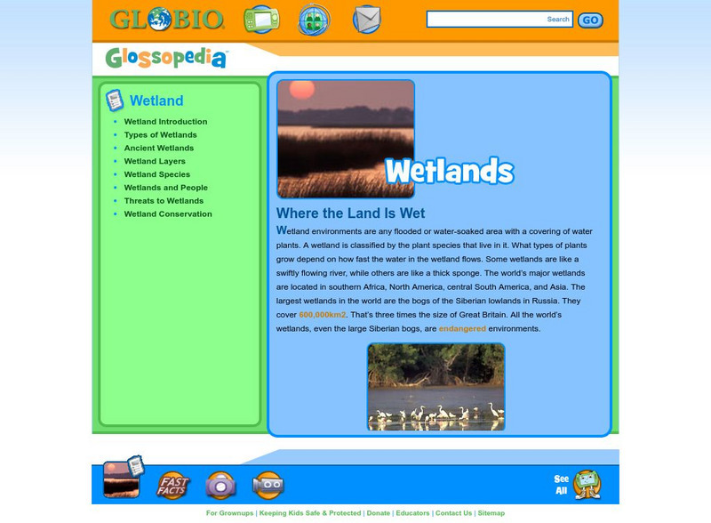 Glossopedia: Wetland Handout Glossopedia: Wetland Handout