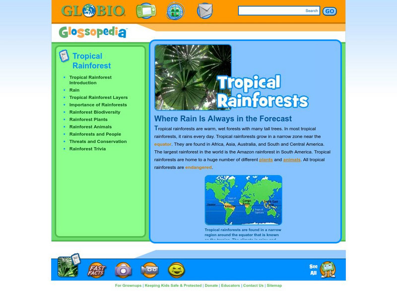 Glossopedia: Tropical Rainforests Handout Glossopedia: Tropical Rainforests Handout