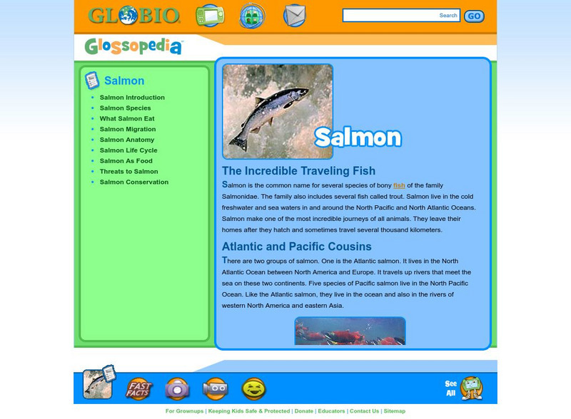Glossopedia: Salmon Handout Glossopedia: Salmon Handout