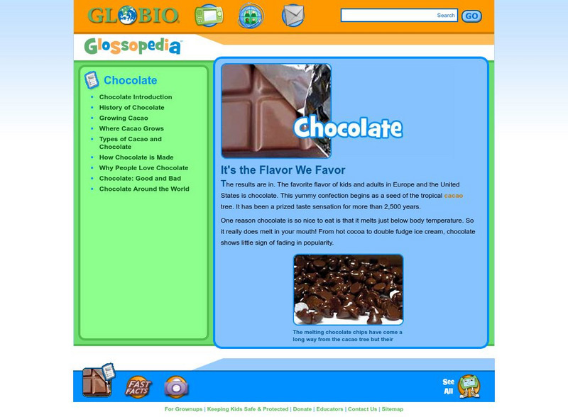 Glossopedia: Chocolate Handout