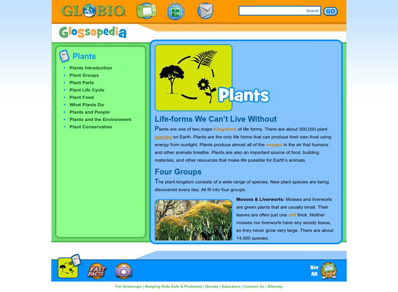 Glossopedia: Plants Handout Glossopedia: Plants Handout