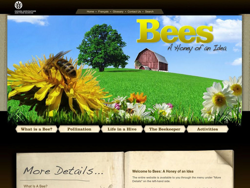 Canada Agriculture Museum: Bees: A Honey of an Idea Website Canada Agriculture Museum: Bees: A Honey of an Idea Website