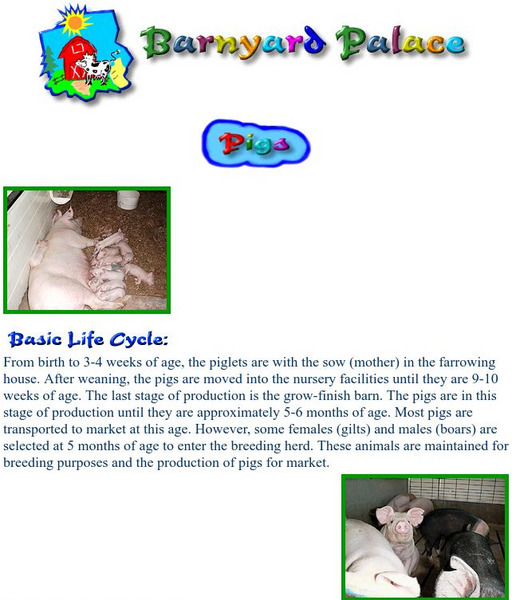 Barnyard Palace: Pigs Handout Barnyard Palace: Pigs Handout