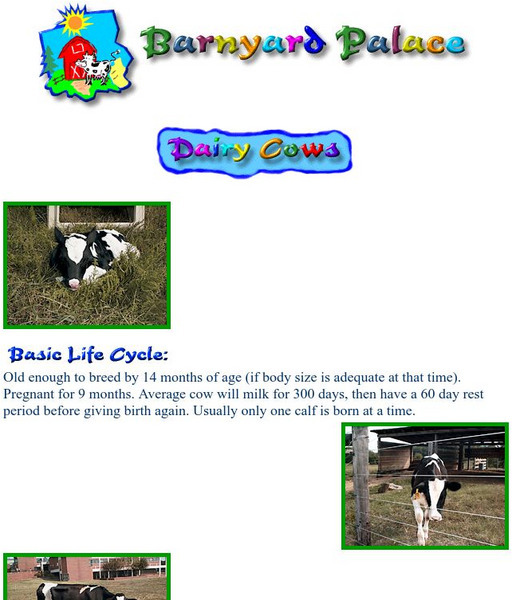 Barnyard Palace : Dairy Cows Activity Barnyard Palace : Dairy Cows Activity