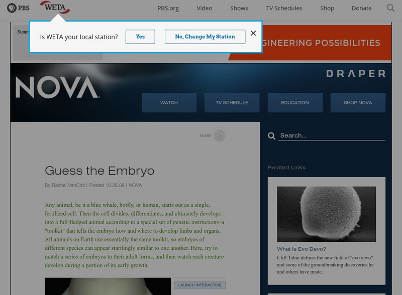 Pbs Nova: Guess the Embryo Interactive Pbs Nova: Guess the Embryo Interactive