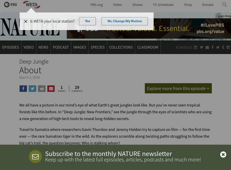 Pbs: Nature: Deep Jungle: New Frontiers Website Pbs: Nature: Deep Jungle: New Frontiers Website