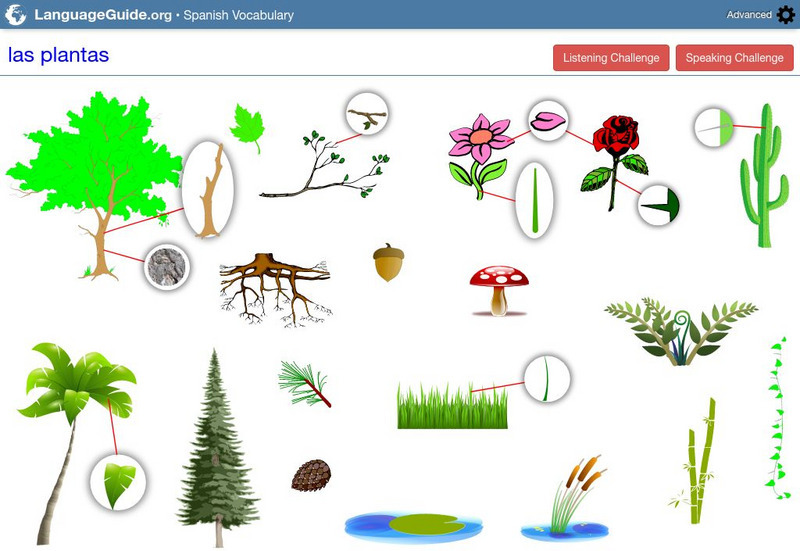 Language Guide: Las Plantas Unit Plan Language Guide: Las Plantas Unit Plan