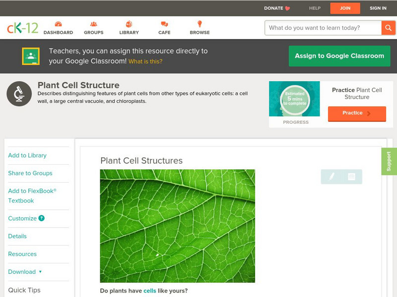 Ck 12: Life Science: Plant Cell Structures Unit Plan Ck 12: Life Science: Plant Cell Structures Unit Plan
