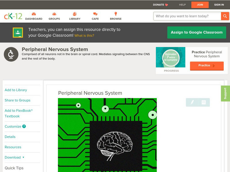 Ck 12: Life Science: Peripheral Nervous System Unit Plan Ck 12: Life Science: Peripheral Nervous System Unit Plan