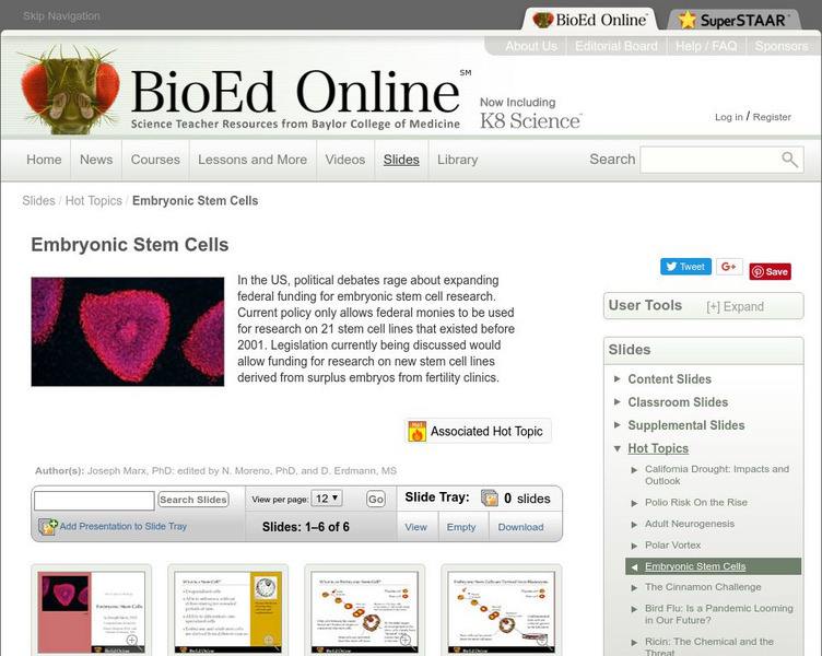 Bio Ed Online: Embryonic Stem Cells Handout Bio Ed Online: Embryonic Stem Cells Handout